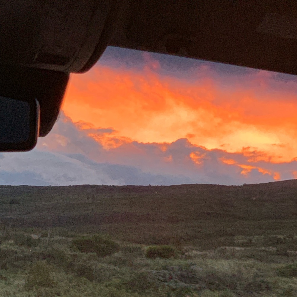 Meet your Posher, Alysha-lei